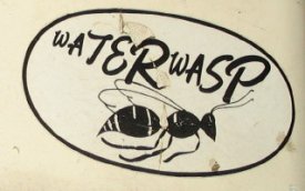 Waterwasp's Avatar