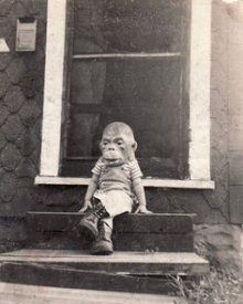 monkeymailman's Avatar