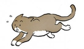 GopherBaroque's Avatar