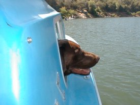 mytidawg's Avatar