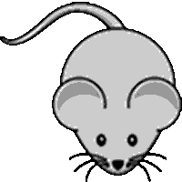 Snicki's Avatar